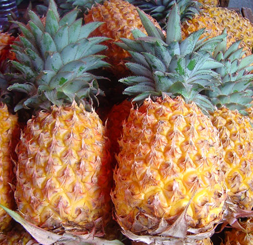 А ви знаєте які види і сорти ананасів існують в природі?