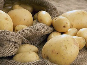 Фото і опис хвороб картоплі