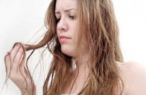 Рецепти кращих масок для позбавлення від сухих кінчиків волосся