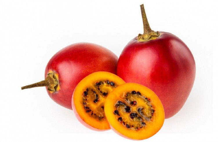 Тамарило або томатне дерево — як його їсти — корисні властивості і протипоказання