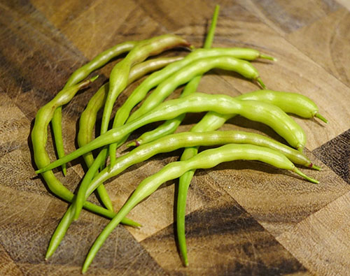 Фото і опис різних видів редьки