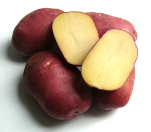 Фото і опис сортів картоплі