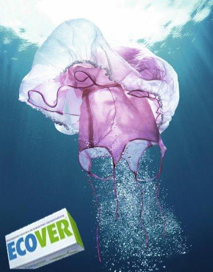 «Ecover» — виробник екологічно чистих миючих і чистячих засобів.