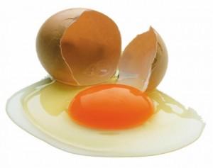 Куряче яйце — друг або ворог?