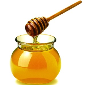 Алое, мед, каштан, мухомор: рецепти, корисні властивості