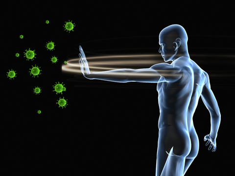 Ехінацея для імунітету: лікувальні властивості і застосування