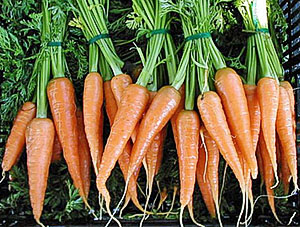Агротехніка вирощування моркви