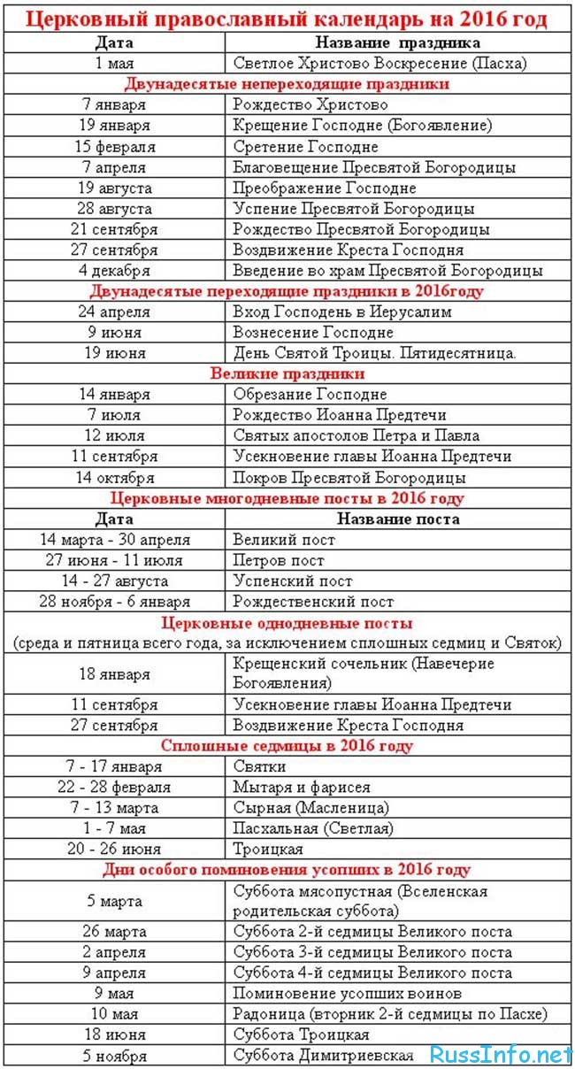 Шарипова проведет какой сегодня праздник 27 11 16 работа