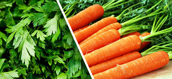Якісь заготовки на зиму можна зробити з моркви