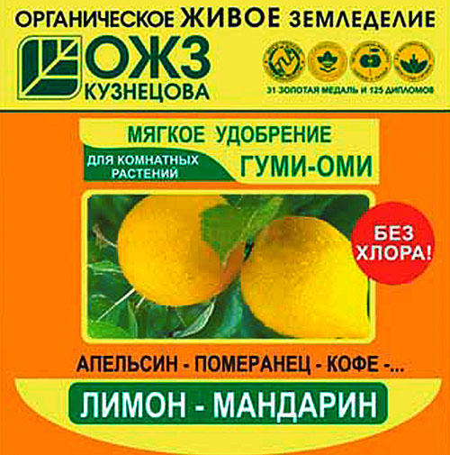 Догляд за мандарином в домашніх умовах