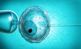 Знайдений новий спосіб виношувати ембріони для штучного запліднення