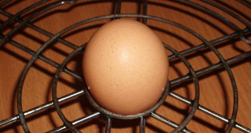 Яйця в аерогрилі