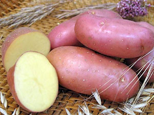 «Престиж» для обробки картоплі