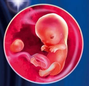Чому може припинитися розвиток організму дитини у вагітних?