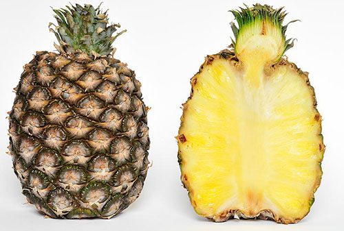 А ви знаєте які види і сорти ананасів існують в природі?