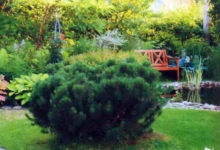 Варіанти оформлення саду в регулярному стилі