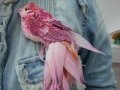 Казковий птах з тканини