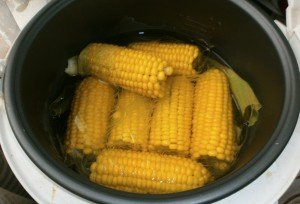 Кукурудза в мультиварці редмонд 4502. Як варити кукурудзу в мультиварці?
