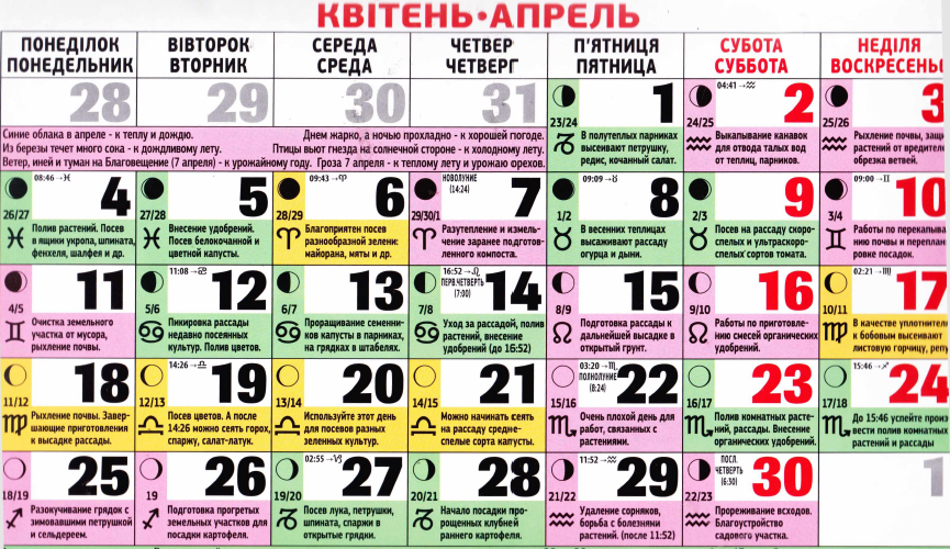 Коли садити розсаду у 2016 році – сприятливі дати посадок Коли садити розсаду у 2016 році – сприятливі дати посадок