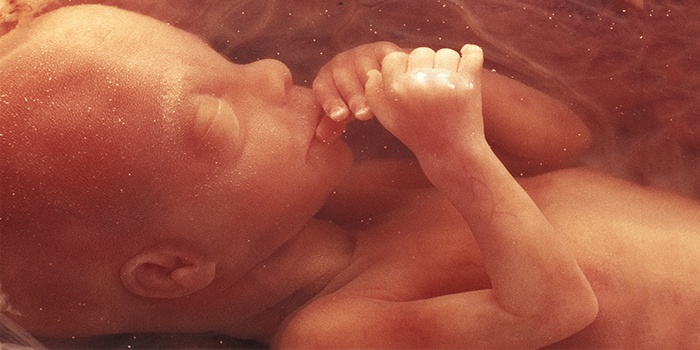 4 місяць вагітності: як виглядає плід і живіт на цьому терміні