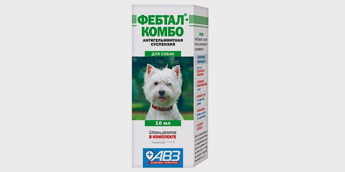 Таблетки від глистів для собак: які купити і як дати ліки