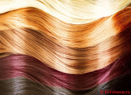 Фарба для волосся капус: палітра кольорів і відтінків