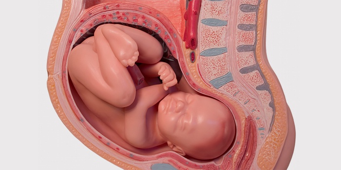 8 місяць вагітності: дитина і болі в животі на цих тижнях