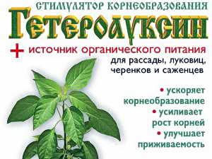 Як застосовувати Гетероауксин для стимуляції росту коренів