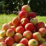 Догляд за яблуневим садом