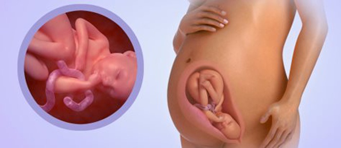35 тиждень вагітності: що відбувається в животі і чому виникають болі
