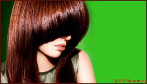 Фарба для волосся капус: палітра кольорів і відтінків