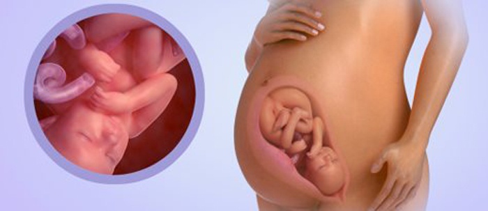 38 тиждень вагітності: що відбувається на цьому терміні, провісники пологів