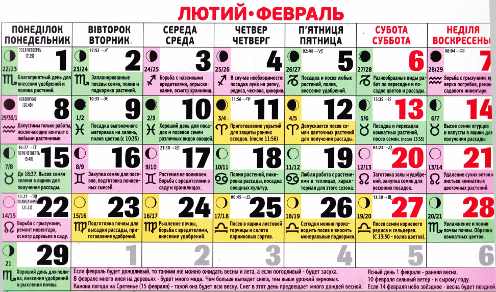 Коли садити розсаду у 2016 році – сприятливі дати посадок Коли садити розсаду у 2016 році – сприятливі дати посадок