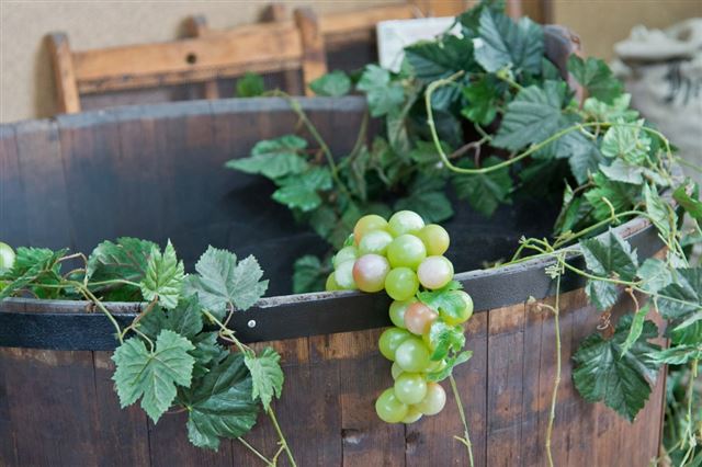 Як зробити виноградне вино в домашніх умовах