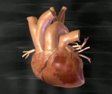 Серце і інфаркт міокарда, копати чи не копати