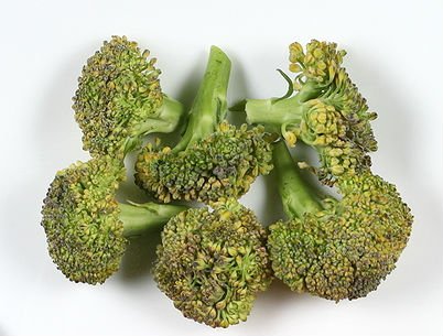 Як смачно приготувати броколі?