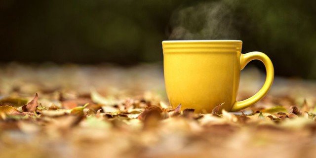 Склад Монастирського чаю від остеохондрозу. Цілющі властивості