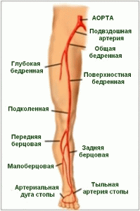 Атеросклероз судин нижніх кінцівок лікування