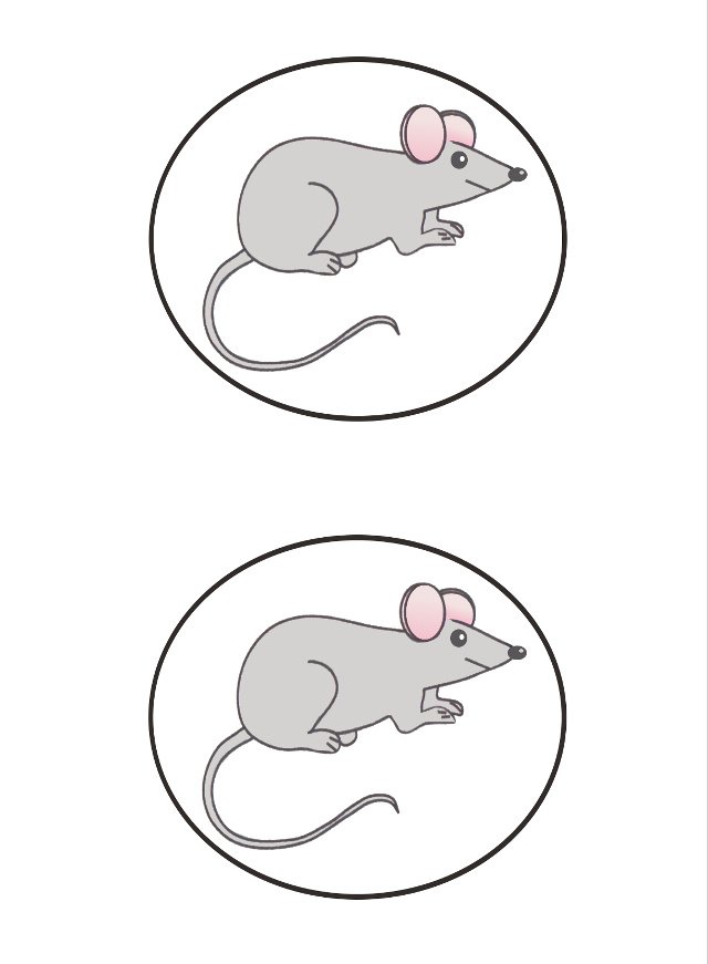 Конспект заняття «Мишка та мишеня» для дітей 2 го року життя