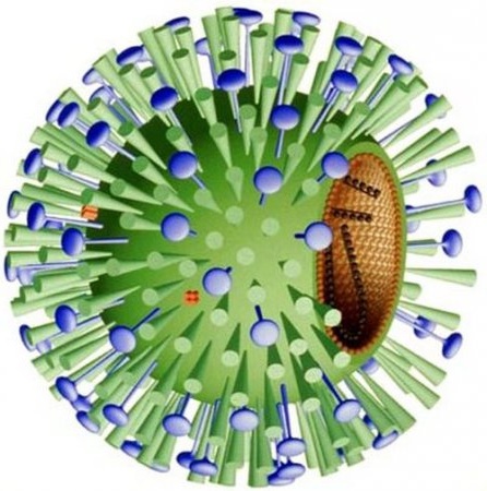 Якими ефективними засобами можна зупинити поширення вірусів в організмі