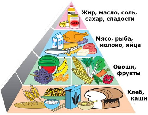 Харчова піраміда правильного харчування — на що звернути увагу?