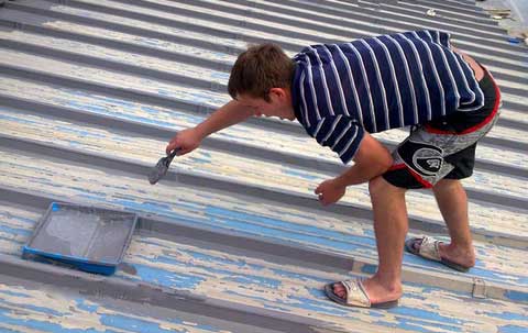 Гумова фарба для даху: застосування та переваги