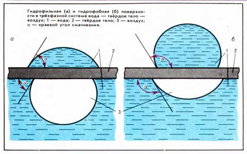 Гідрофобізовані теплоізоляційні плити: легкі, жорсткі