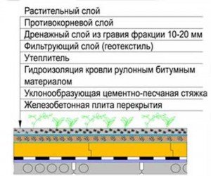 Плоска інверсійна покрівля: відмінності експлуатованої від звичайної