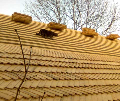 Дранка на дах: види та особливості. Матеріал для деревяної покрівлі
