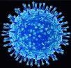 Як вибрати противірусні препарати для лікування вірусних захворювань: грип, герпес, СНІД