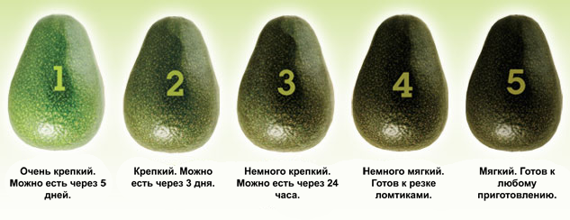 Авокадо і його корисні властивості