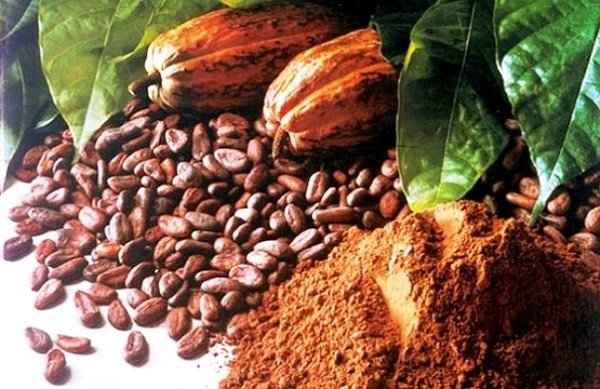 Маска з какао для волосся: особливості застосування, рецепти