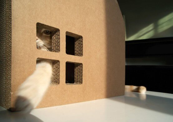 Дбаємо про вихованців – будуємо будиночок для кота своїми руками