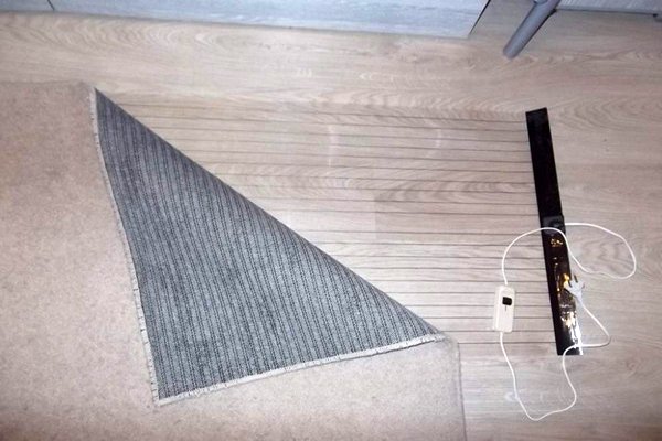 Тепла підлога під килим: переваги, пристрій і самостійна установка мобільного системи підігріву підлоги